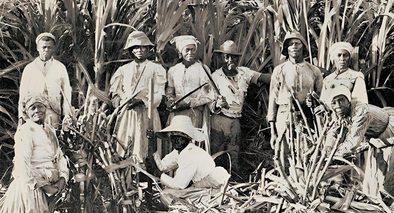 Photo Cuba slaves ca 1880