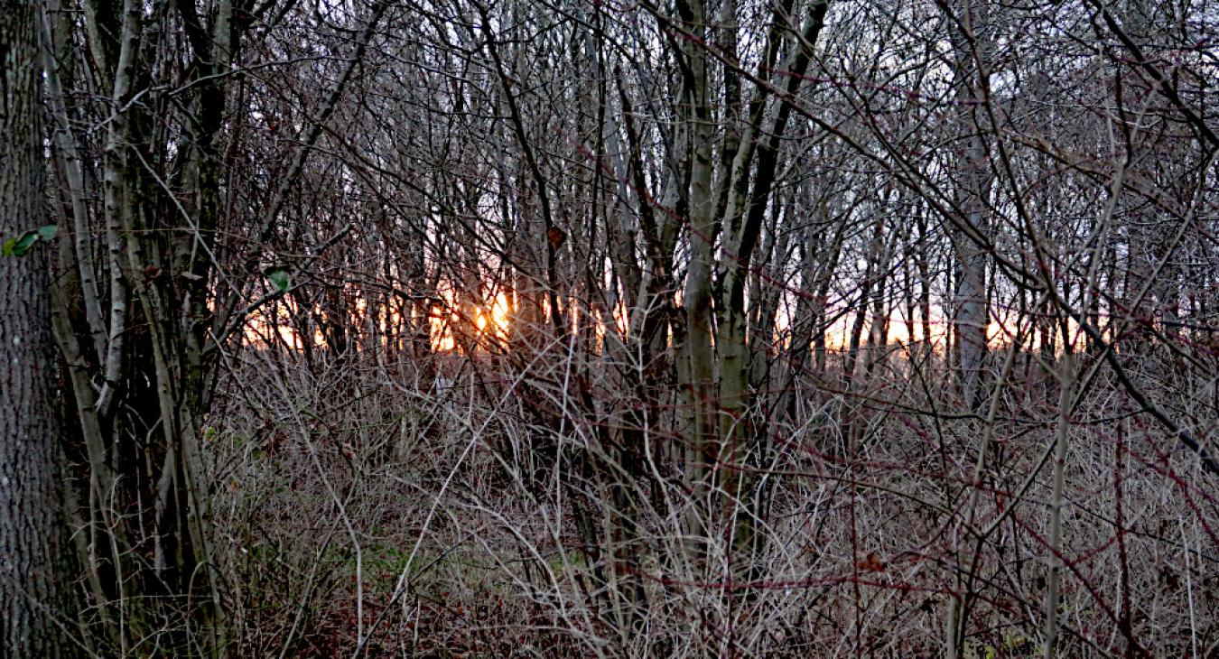 Hollufgård vinterstemning