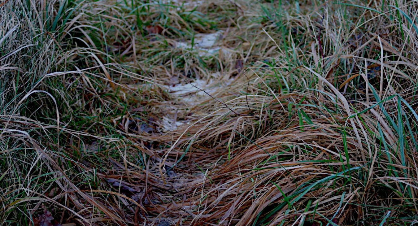 Hollufgård vinterstemning