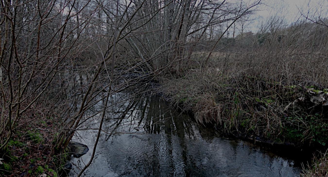 Hollufgård vinterstemning