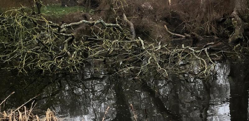 Naturopera på Skovsgård Gods