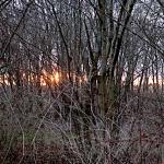 Hollufgård vinterstemning